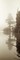 Lakeside Tree - 2 Poster Print by Alan Blaustein - Item # VARPDXABTRV40